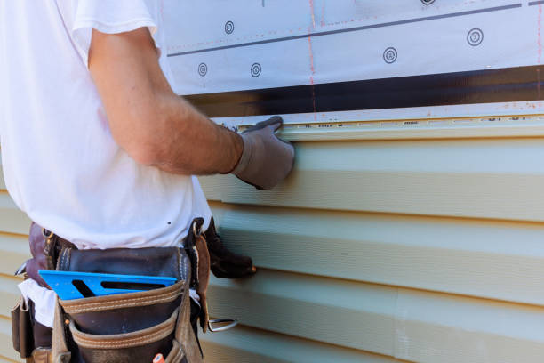 Best Custom Siding Design  in USA